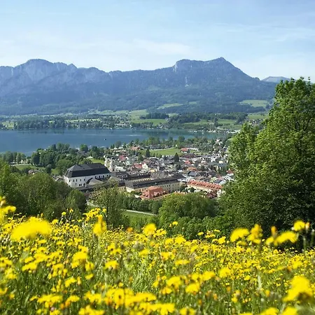 Apartamento Holiday Flat Am Traunsee